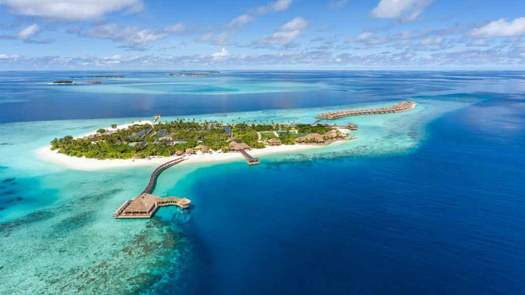 IMMALDIVES WEBSITE LAYOUT-1 IMMALDIVES WEBSITE LAYOUT-1